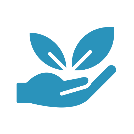 Eco-Friendly Car Wash Icon
